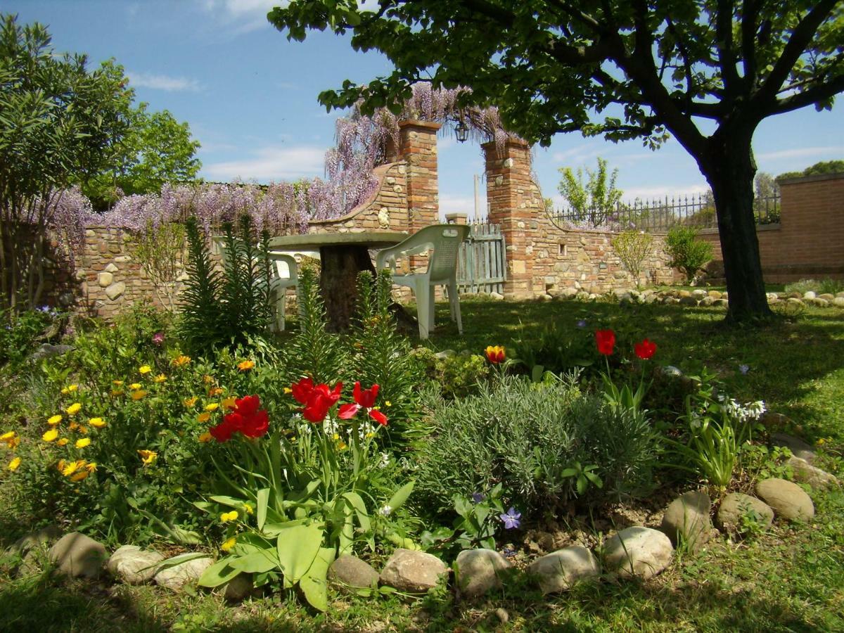 B&B Il Poggetto Montespertoli Exterior foto