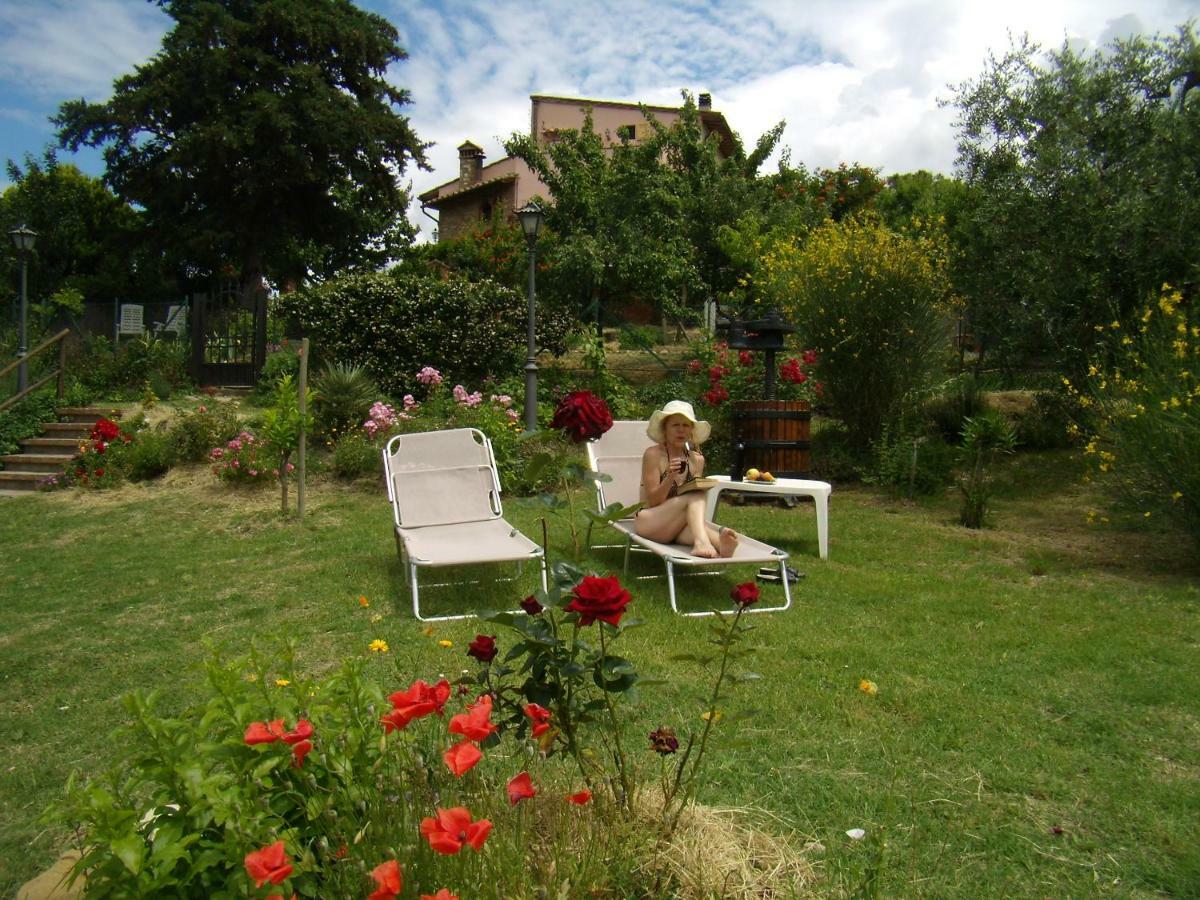 B&B Il Poggetto Montespertoli Exterior foto