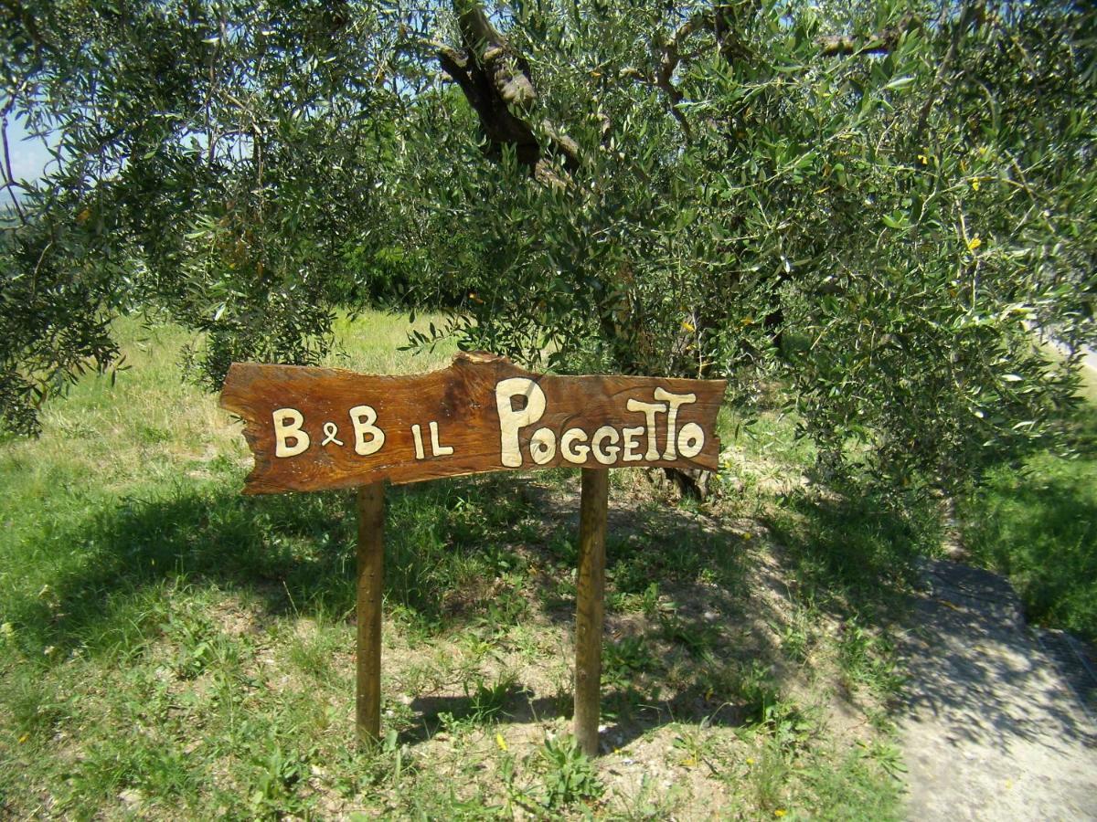 B&B Il Poggetto Montespertoli Exterior foto
