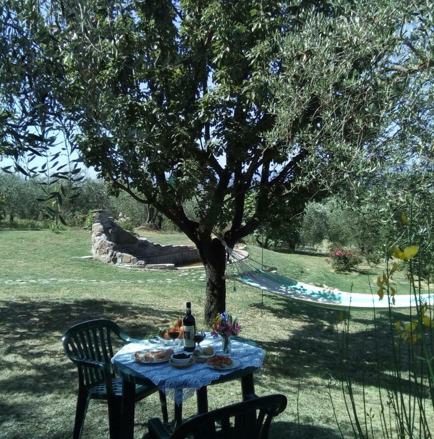 B&B Il Poggetto Montespertoli Exterior foto